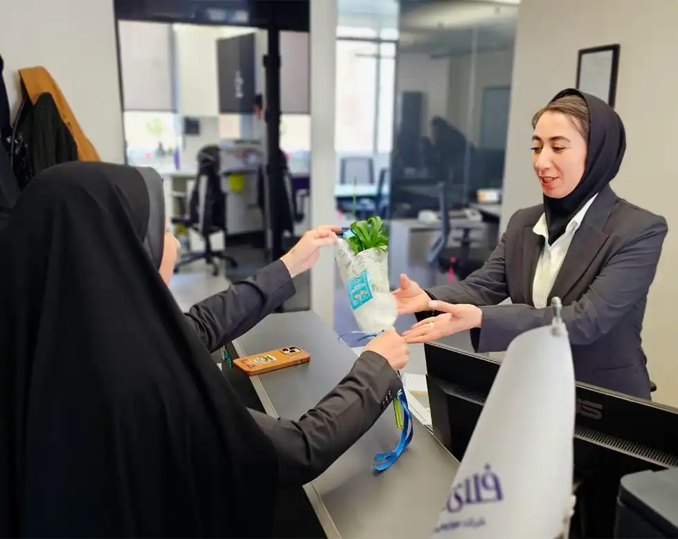 فلای کیش        